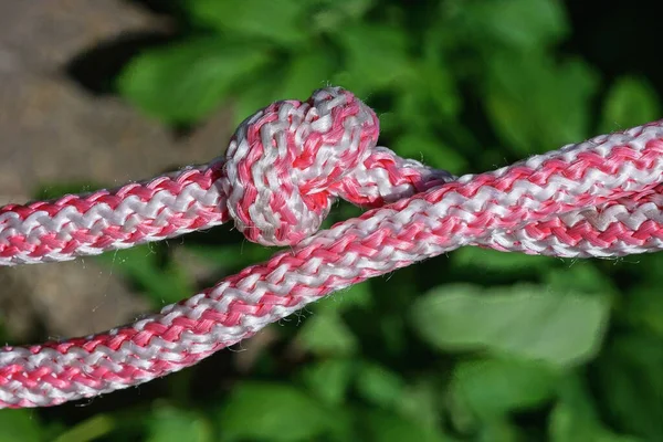 Два Шматки Біло Червоної Товстої Мотузки Вузлом Вулиці Зеленому Фоні — стокове фото