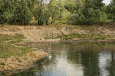 Kumsalın bir kısmı yeşil çimlerde, gölün gri sularında.