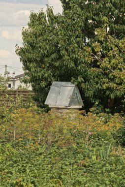 Doğadaki yeşil çimlerin ve bitkilerin arasında eski bir kırsal metal kuyusu.