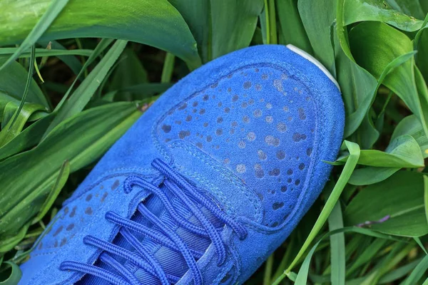 Ένα Μπλε Sneaker Από Δέρμα Και Suede Στέκεται Στα Πράσινα — Φωτογραφία Αρχείου