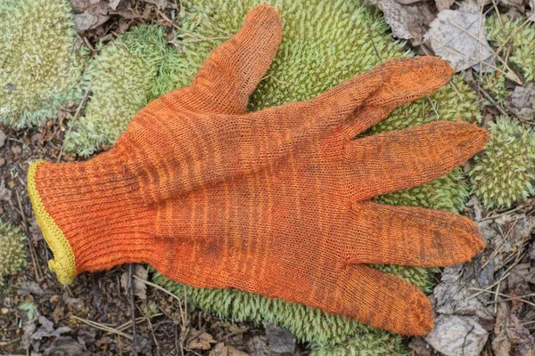 one old orange work glove made of fabric lies on the green moss on the street in nature