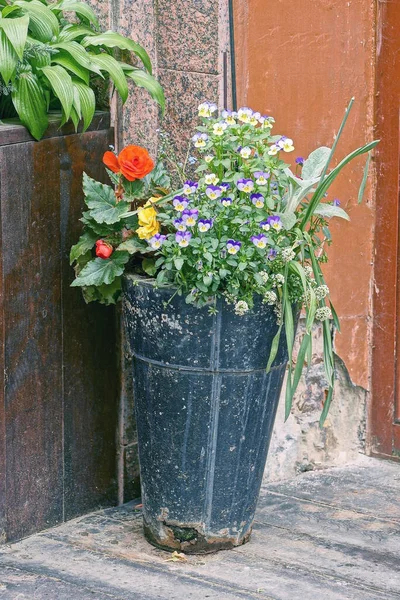 Vaso Metal Sujo Preto Com Buquê Colorido Flores Contra Uma — Fotografia de Stock