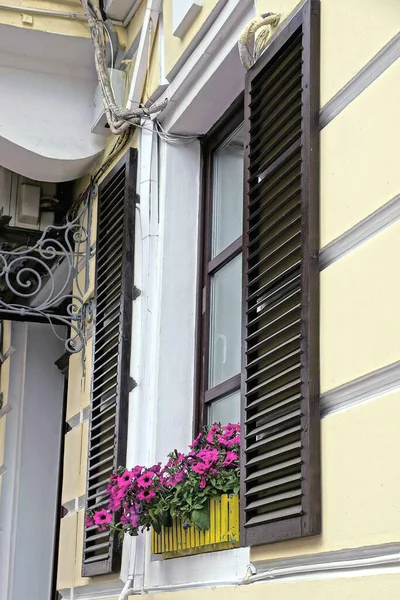 one window with brown wooden shutters and a flowerpot with decorative flowers on a gray stone wall in the street