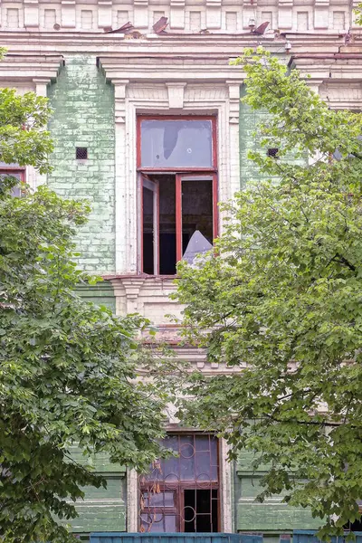 在街上一座废弃的老房子的砖墙上 有两扇旧的褐色窗户 玻璃碎了 中间长满了绿色的植被 — 图库照片