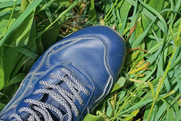 一只带灰色花边的蓝色皮鞋站在大自然的绿色植被中 — 图库照片