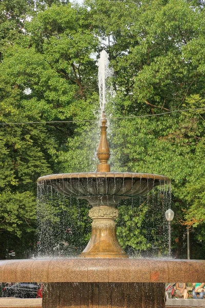 one brown wet marble fountain in jets of white water on the street against the background of green vegetation in the park