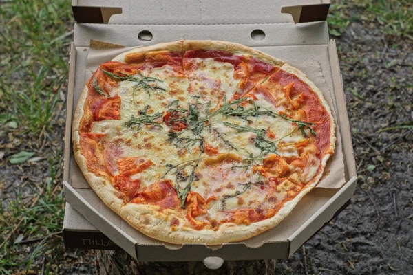 Comida Uma Rodada Carbonara Pizza Colorido Uma Caixa Papelão Cinza — Fotografia de Stock
