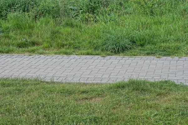 Parte Lungo Vicolo Lastre Pavimentazione Grigia Tra Erba Verde Parco — Foto Stock