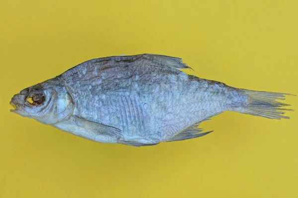 Τροφή Από Ένα Γκρίζο Στεγνό Αλατισμένο Κατσαρίδα Ψαριών Βρίσκεται Ένα — Φωτογραφία Αρχείου