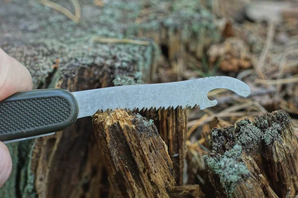 手には緑のハンドルを持つ軍のナイフと自然の中で屋外で木を切断するハックソー — ストック写真