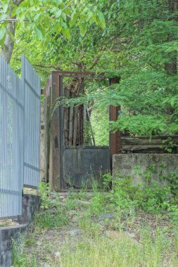 Siyah metal ve demirden yapılmış eski bir kapı ve çit örgü yeşil bitkilerle kaplı bir caddede.