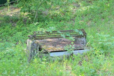 Eski bir kuyu, kırsal bir sokakta yeşil çimen ve bitki örtüsüyle kaplanmış kahverengi demir paslı bir levhayla kaplıydı.