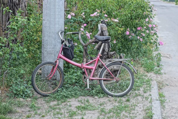 Jeden Stary Czerwony Rower Stoi Przy Szarym Betonowym Słupie Zielonej — Zdjęcie stockowe