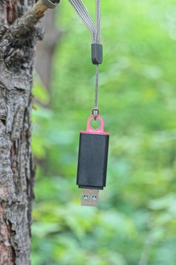Bir küçük mobil plastik siyah USB flaş bellek yeşil arka plandaki gri bir ağaç dalında asılı duruyor.
