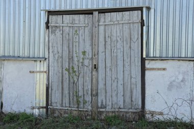 Eski bir garajın ön cephesinde metal bir duvar ve gri kapalı ahşap kapılar sokaktaki yeşil çimlerde