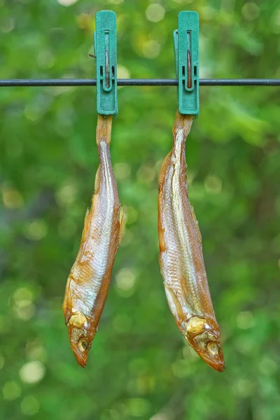 Two Small Brown Gray Smoked Capelin Fish Hang Clothespins Wire — Stock Photo, Image