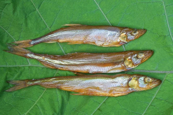 Три Невеликі Копчені Сухі Сіро Коричневі Риби Капеліни Лежать Зеленому — стокове фото
