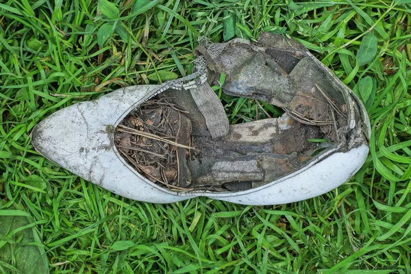 街上绿草丛中站着一只破了的 白的旧皮鞋 — 图库照片