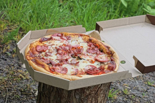 Comida Uma Rodada Carbonara Pizza Colorido Uma Caixa Papelão Papel — Fotografia de Stock