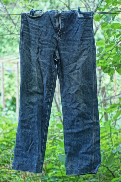 Blå Skrynklig Bomull Jeans Hänger Tråd Gatan Bland Grön Vegetation — Stockfoto