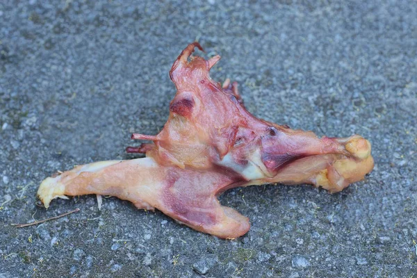 Beyaz Kemikli Kırmızı Çiğ Tavuk Eti Sokakta Gri Asfaltta Yatıyor — Stok fotoğraf