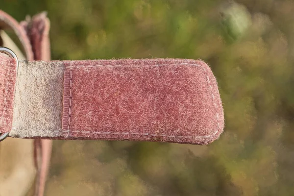 Jeden Růžový Plastový Suchý Zip Látkovém Postroji Oblečení — Stock fotografie