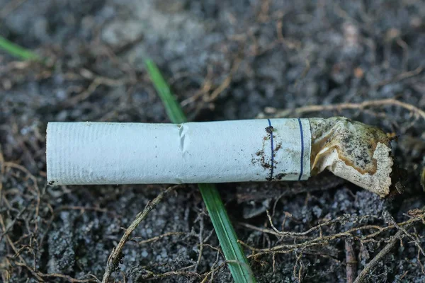 One White Cigarette Butt Filter Lies Gray Sand —  Fotos de Stock
