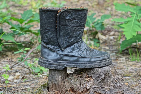 Ein Alter Schwarzer Zerrissener Lederstiefel Steht Auf Einem Grauen Baumstumpf — Stockfoto