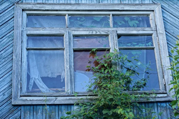 Одне Велике Старе Вікно Синій Сірій Дерев Яній Стіні Горища — стокове фото