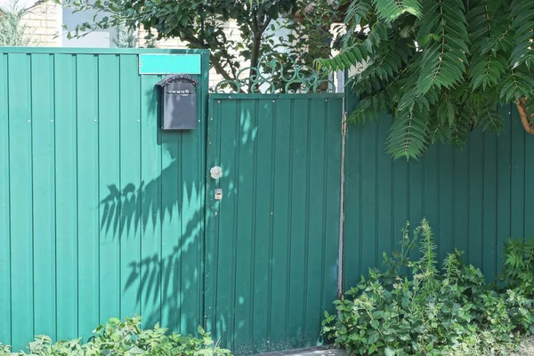 One Iron Closed Door Green Metal Fence Wall Rural Street — Stock Photo, Image
