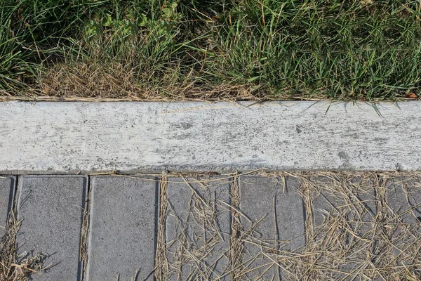 Parte Passeio Concreto Branco Perto Pavimento Pedra Cinza Grama Verde — Fotografia de Stock