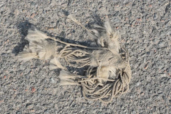 街上灰蒙蒙的柏油路上躺着几根结的白色旧绳子 — 图库照片