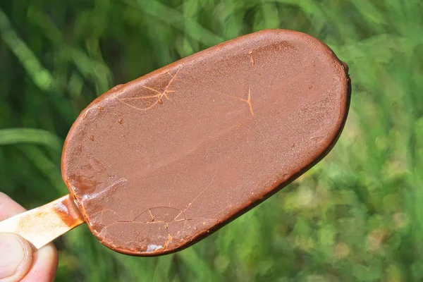 Ruka Drží Jednu Hnědou Čokoládovou Zmrzlinu Pozadí Zelené Vegetace Letní — Stock fotografie