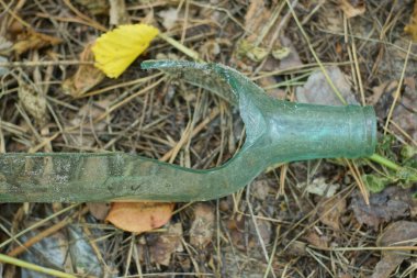 Kırık bir şişenin bir parçası sokakta yerde yatıyor.