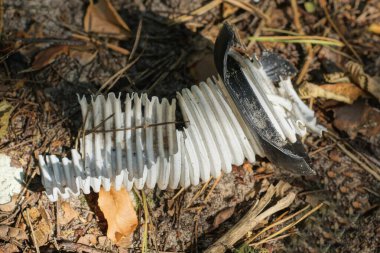 Sokakta yerde yatan bir parça kirli plastik hortumun çöpü.