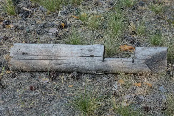 Ένα Παλιό Γκρι Σπασμένο Ξύλινο Κοντάρι Βρίσκεται Στο Έδαφος Και — Φωτογραφία Αρχείου