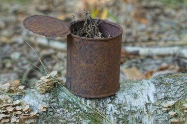 Eski bir kahverengi paslı demir teneke kutu doğada gri bir ağaç dalında duruyor.