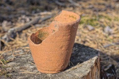 Kırık bir seramik kap Gri bir tahta kütüğün üzerinde duruyor