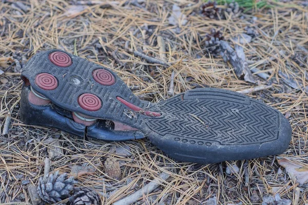 one black red dirty sole of an old sneaker lies on brown dry pine needles and ground on the street