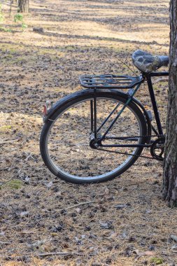 Eski siyah bir bisiklet, doğada, kahverengi zemindeki bir ağacın yanında duruyor.