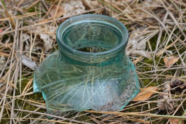 Kırık gri cam bir kavanozun bir parçası yeşil yosunların üzerine uzanıyor.