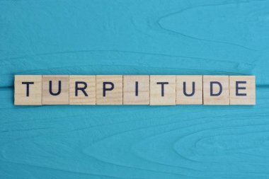 Ahşap gri harflerden yapılan ahlaksızlık sözcüğü mavi bir arkaplanda yatıyor.