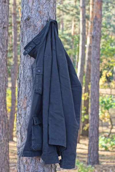 one black fabric jacket hanging on a branch on a brown tree outdoors in nature