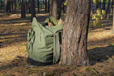 Büyük yeşil bir sırt çantası ormanda bir çam ağacının yanında yerde duruyor.