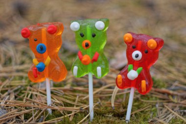 Çubuk ayılar şeklinde üç renkli şekerleme doğada yeşil yosun içinde duruyor.