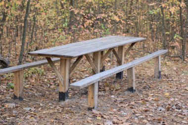 Gri eski ahşap masa ve doğadaki bitki örtüsünün arasındaki sıralar.