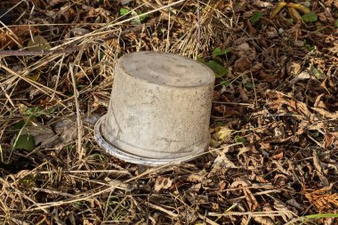 Eski, kirli bir plastik kova, gri kuru çimenlerin ve caddelerde düşen yaprakların üzerinde yatıyor.