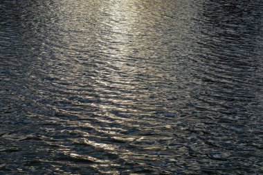 Doğada suyun ve dalgaların doğal gri dokusu.