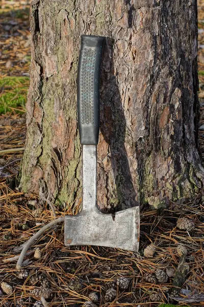 One Gray Old Iron Black Handle Stands Ground Brown Pine — Stock Photo, Image