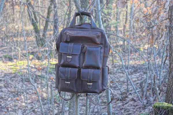 one brown leather backpack hanging on a gray tree branch outdoors in nature